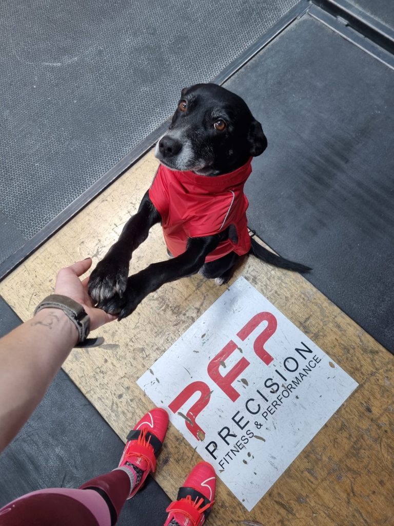 Membership information at PFP Gym, Exeter