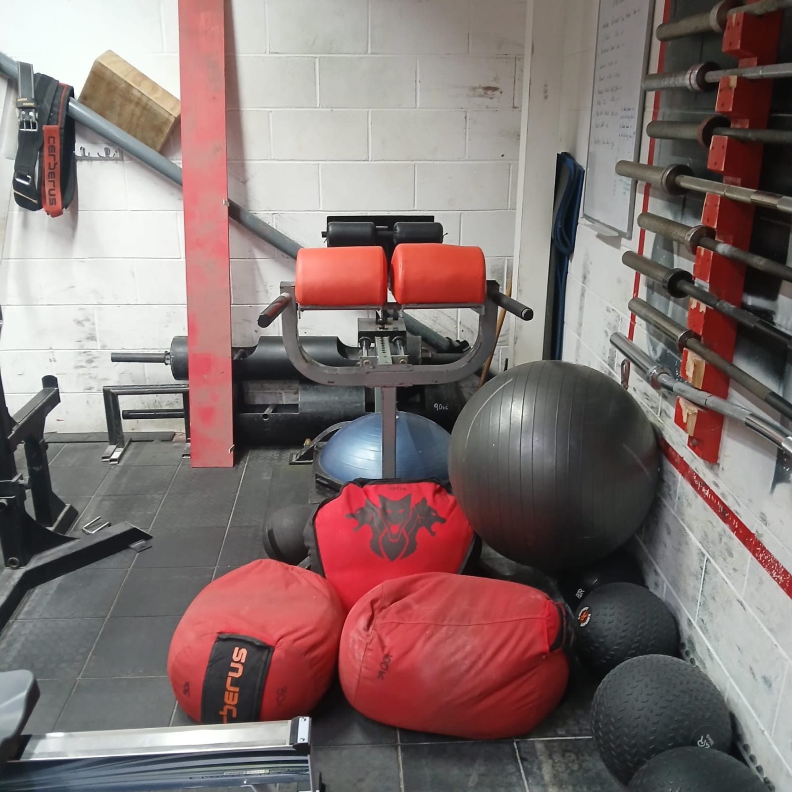 Personal Training Exeter - Expert Coaching at PFP Exeter